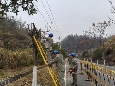 国网崇阳县供电公司：清障除隐患  守护电力“生命线”