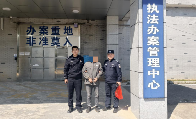 崇阳公安抓获一网上在逃人员