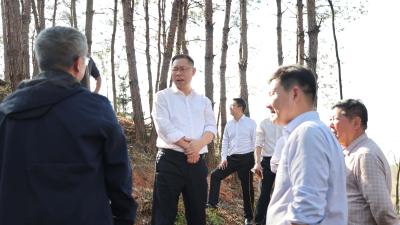 郑俊华调研春耕备耕工作时强调：做强农业特色产业   筑牢粮食安全底线