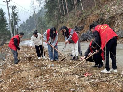 崇阳县高枧乡：春雨润新苗  共植希望“绿”