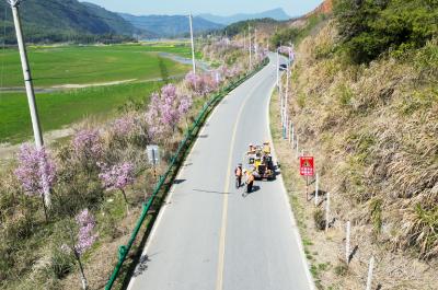 咸宁崇阳：智慧养路织就乡村振兴网