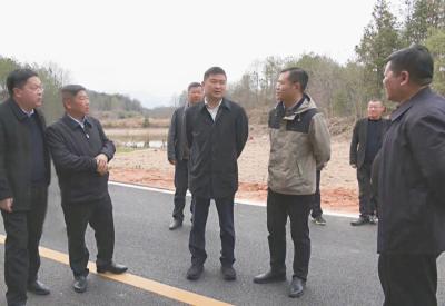 徐望深入肖岭乡调研产业发展和林长制工作