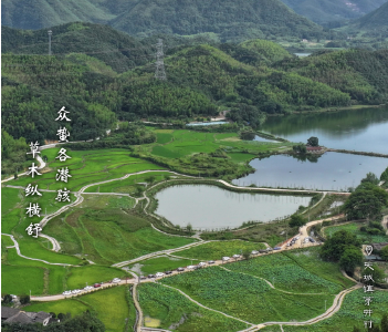 海报丨崇阳：微雨众卉新 一雷惊蛰始