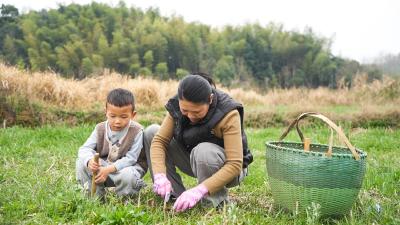 崇阳：尝一口野菜 定格春天