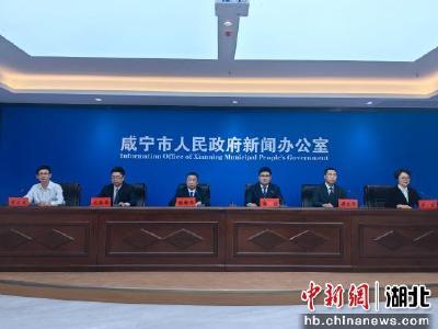 湖北崇阳：抓项目兴产业 在“支点建设”中乘势跃升