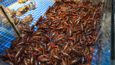 咸宁崇阳：小龙虾鲜香上市  开启夏日美食狂欢季