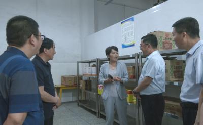 市人大常委会调研组来崇调研校园食品安全工作