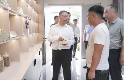 郑俊华深入青山镇调研乡村振兴工作时强调：因地制宜  分类施策  大力发展富民产业