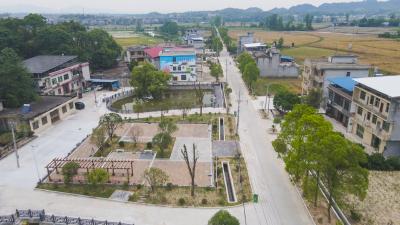 崇阳县沙坪村：和美乡村建设绘就宜居宜业新画卷
