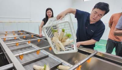 咸宁崇阳：乡村工坊  让农产品从田间走向广阔市场