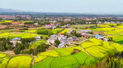 崇阳县杨林村：共绘山水新画卷  美丽乡村展新颜