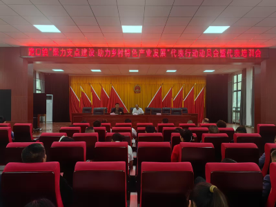 崇阳县路口镇开展“聚力支点建设·助力乡村特色产业发展”人大代表培训