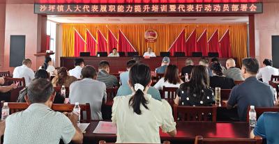 崇阳县沙坪镇开展人大代表履职能力提升培训  部署推进“代表行动”工作