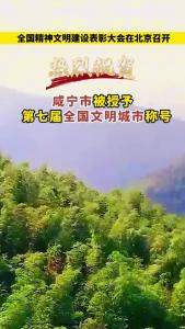 微视丨热烈祝贺 咸宁市被授予第七届全国文明城市称号