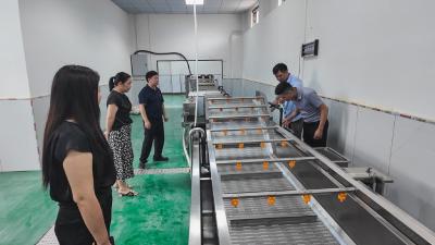 崇阳：乡村工坊  让农产品从田间走向广阔市场