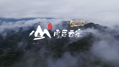 微视丨崇阳：云雾深处的诗意栖居