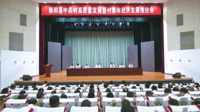 再擂战鼓！崇阳加快推进中药材产业与村集体经济发展“双向奔赴”