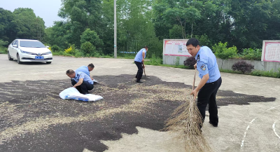 崇阳：风雨欲来抢收急 警民同心护“油”粮