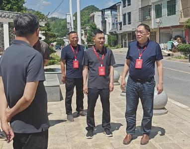 崇阳县金塘镇开展“聚力支点建设·助力乡村人居环境整治”代表行动