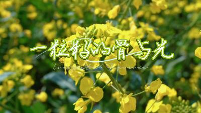 微视 | 一粒籽的骨与光