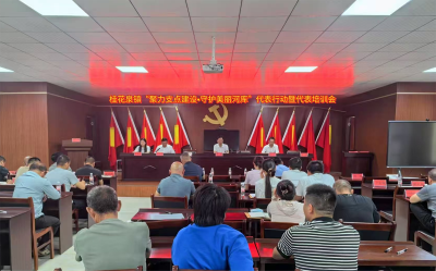 崇阳县桂花泉镇：部署代表行动   守护美丽河库