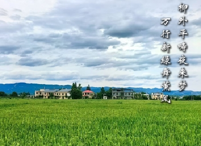 【海报】早安·大美崇阳