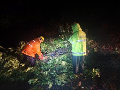 暴雨突袭   崇阳交通运输部门连夜清路障保畅通