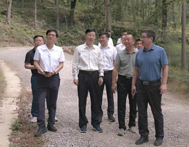 省林业局党组书记、局长王昌友到崇阳县调研