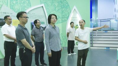 市政协调研组来崇开展文化领域课题调研