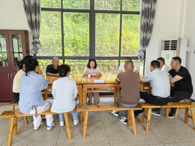 崇阳县桂花泉镇：守护美丽河库，人大代表在行动！