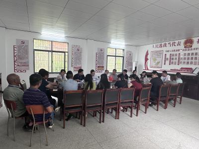 崇阳县天城镇开展“聚力支点建设・擘画美丽乡村建设新蓝图”代表行动