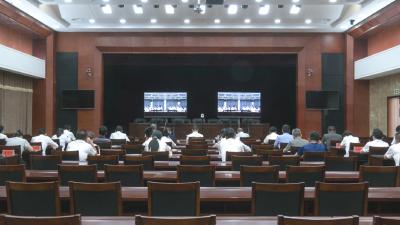 崇阳县收听收看全市未成年人暑期防溺水工作推进会