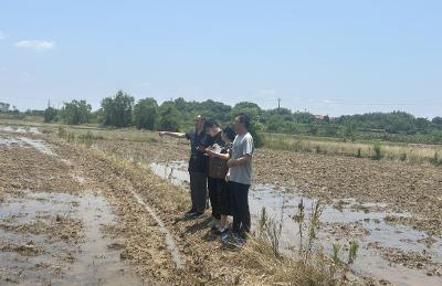 崇阳县审计局：“三聚焦”精准发力  提升乡镇经责审计质效