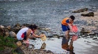 海报丨咸宁崇阳：暑气正盛时 且向山水借清凉
