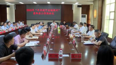 2025年“平安咸宁全域提升”崇阳县工作团会议召开