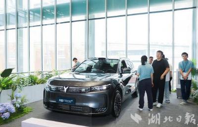 “车谷造”上半年上市十款新能源车新车型