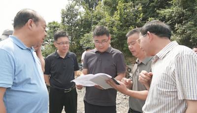 徐望调研绿色建材产业发展时强调：坚定不移走生态优先绿色发展之路  打造镇域经济高质量发展样本