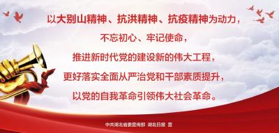 海报 | 弘扬三大精神 奋力建成支点（五）