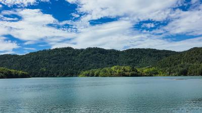 崇阳：5万尾鱼苗“落户”香山水库   激活水域“绿动力”