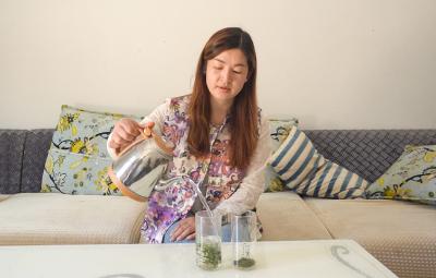 【楚商返乡·创在崇阳】黄静：茶山上的巧媳妇