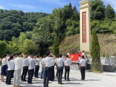 崇阳县肖岭乡开展“传承红色基因 奋力争先创优”庆“七一”系列活动