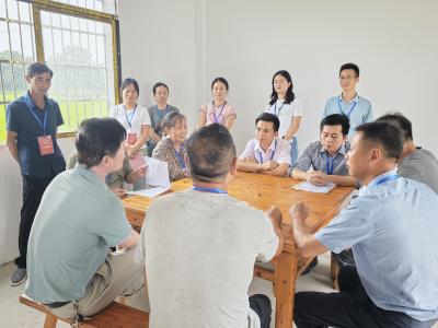 崇阳县沙坪镇：人大代表齐发力   绘就人居新画卷