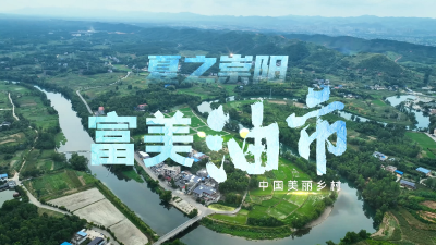 湖北崇阳：夏之崇阳——富美油市