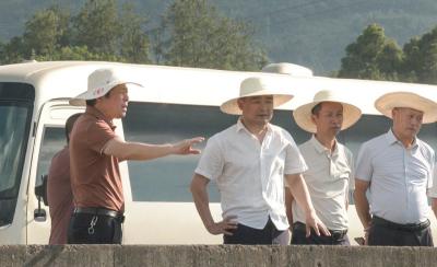 徐望调研大市河综合治理工程情况