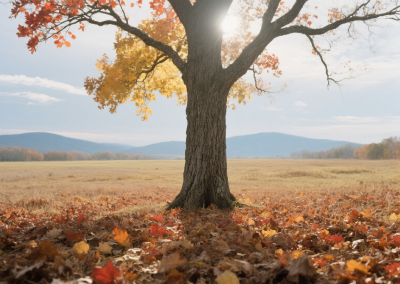 【桃溪文艺】 庞步高：秋日三章（组诗）