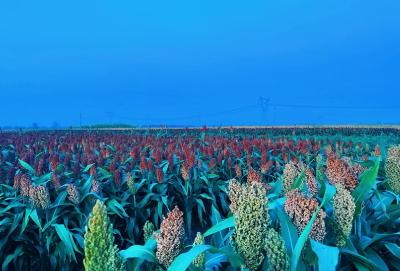 【桃溪文艺】廖瑜：沉淀的纬度