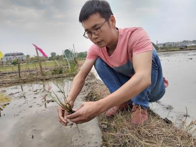【楚商返乡·创在崇阳】熊杜兵：返乡“新农人”筑起乡村“田园梦”