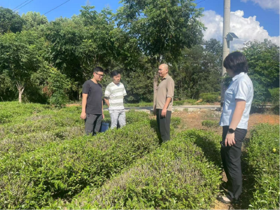 崇阳：携手进企  气象“贷”动绿色发展 