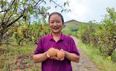 【你有好货 我来吆喝】崇阳太婆山农场：新鲜好滋味  等你来“打包”