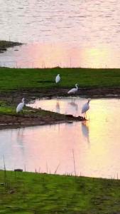 【微视】早安·大美崇阳